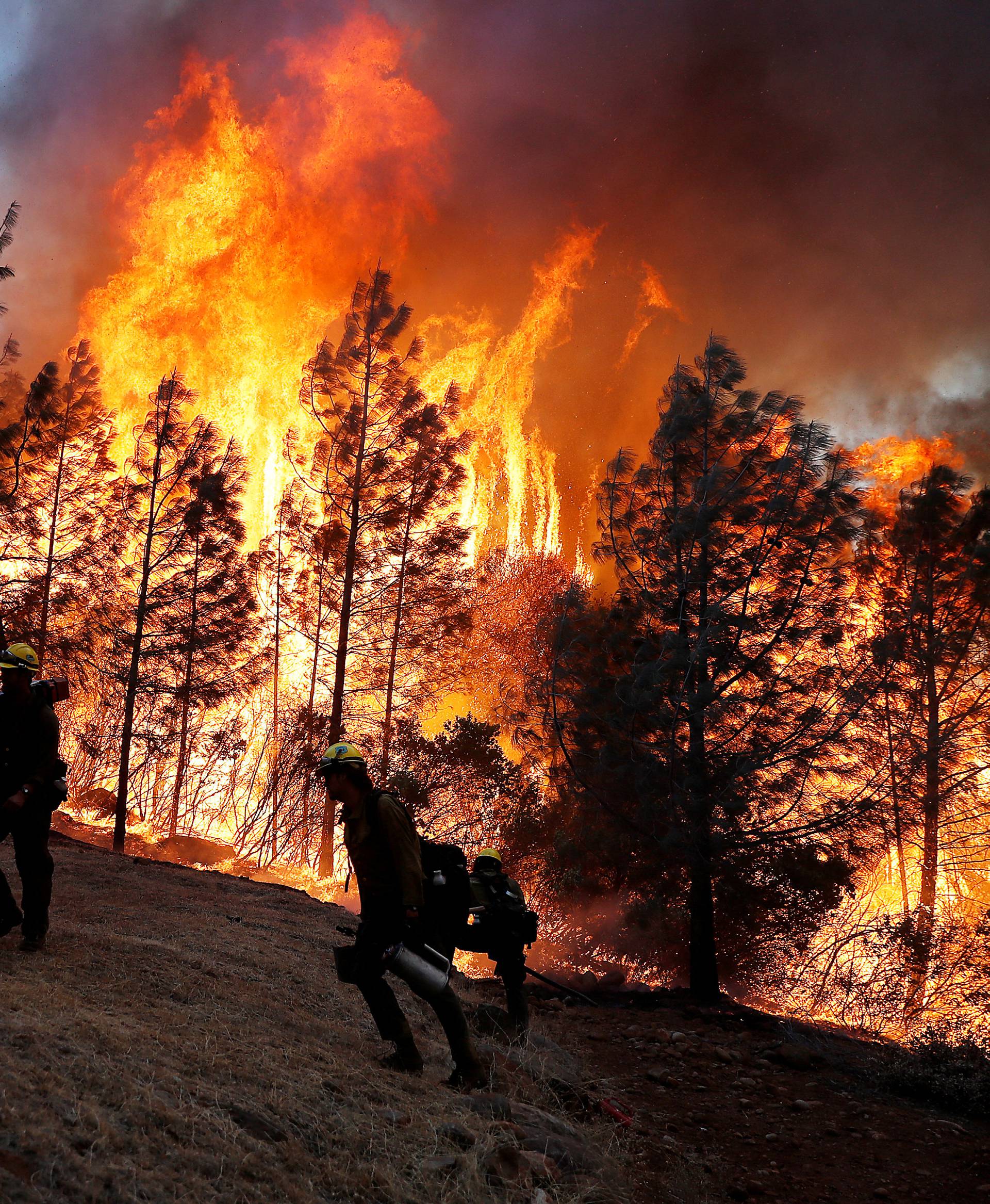 U.S. Forest Service firefighters monitor a back fire while battling to save homes at the Camp Fire in Paradise