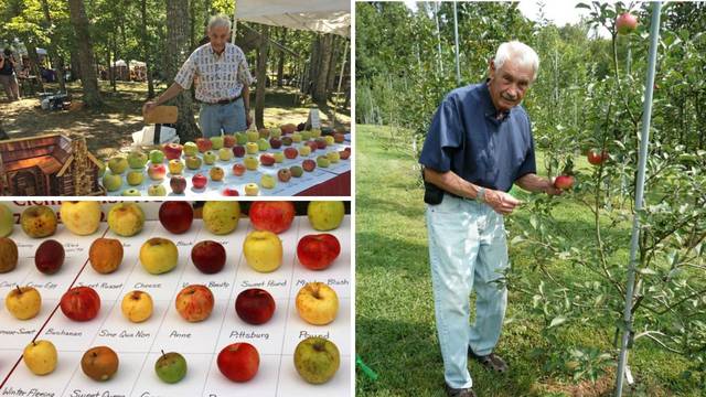 Zovu ga 'lovac na jabuke': Stare sorte spašava od izumiranja, a pronašao je preko 1000 njih