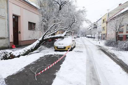 FOTO Osim snijega, u Osijeku palo i stablo na parkirani auto