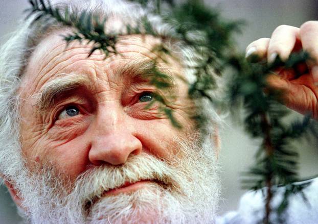 FILE PHOTO: Professor David Bellamy views a clipping from a 1,000 year-old Yew tree as he launched the Yew tree ..