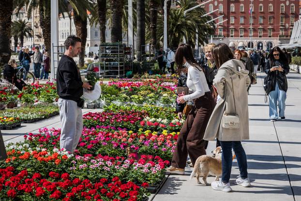 Otvorenje 49. sajma cvijeća u Splitu