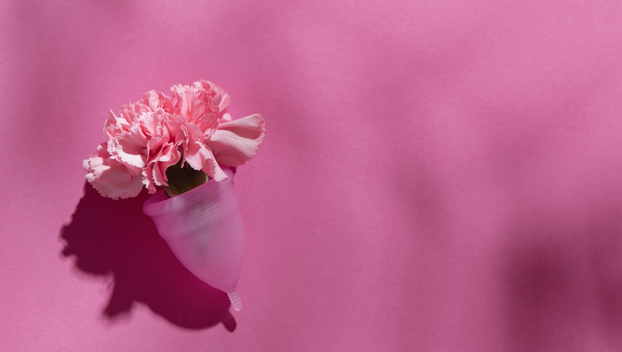 Razbijamo zablude: Ove stvari o vagini vjerojatno niste znali