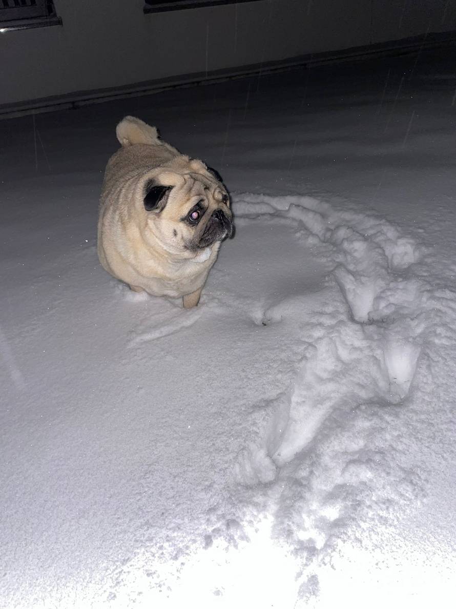 Općinska komunalka sama 'izlopatala' snijeg sa staze: 'Nema nikakve drame u tome'