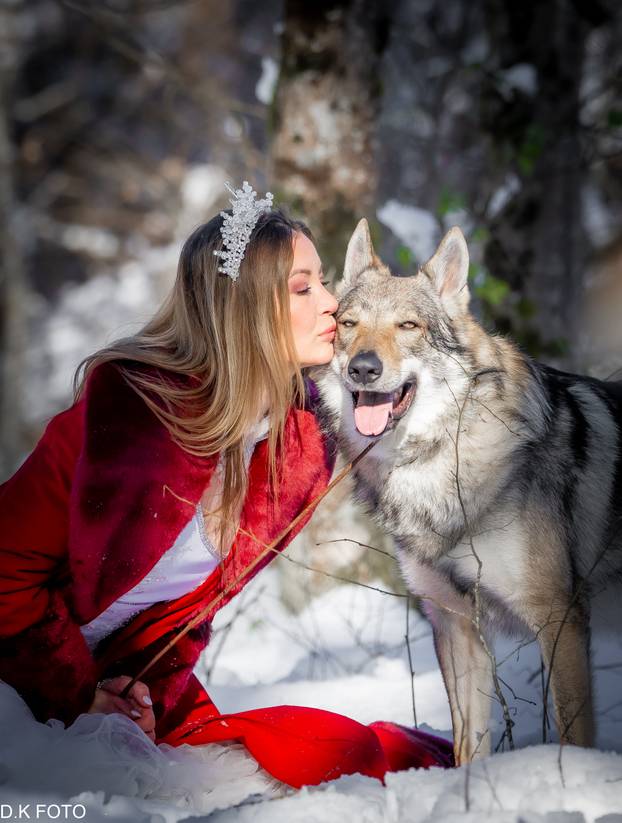 GALERIJA Nastali su od vukova, rođaci su Nazgula s Olimpijskih igara i žive kraj Velike Gorice!