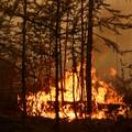Požari u Rusiji mogli bi otopiti sibirski permafrost