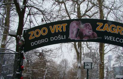 Pogledajte kako izgleda zimski režim u zagrebačkom zoo vrtu