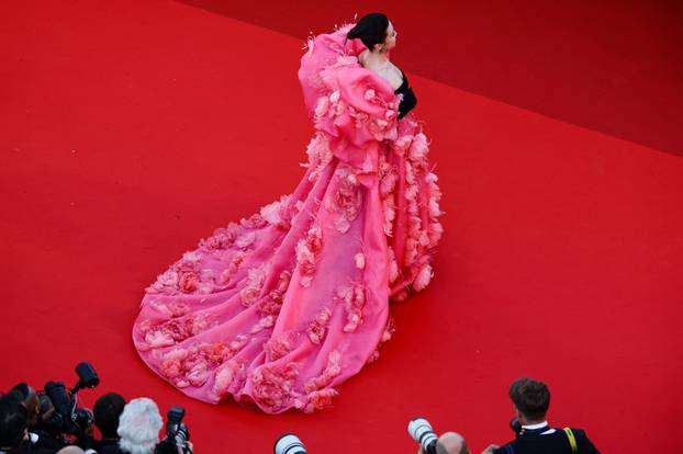 The 79th Cannes Film Festival - Opening ceremony - Red Carpet Arrivals