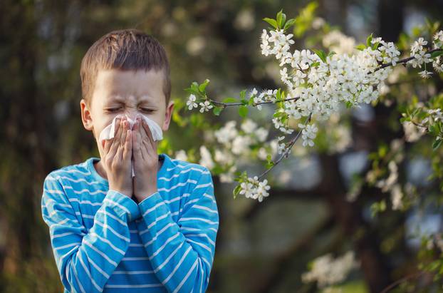 Child having allergy. Boy sitting outdoor with tissue in park ne