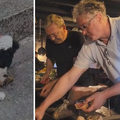 VIDEO Ričard časti svoje, pažnju ukrao njegov pas: 'Janjetina se čeka. Bit će tulum za pamćenje!'