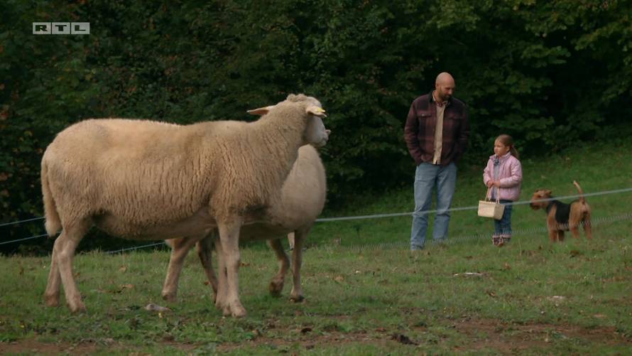 Sprema se još jedna borba u areni na Farmi: 'Sve me boli, ne vjerujem da sam ovo proživjela'