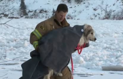 Pas zapeo u zaleđenom jezeru, spasili ga vatrogasci