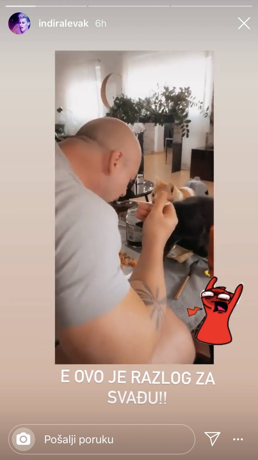 Indira se ljutila na supruga, dao mačkama da mu jedu iz tanjura