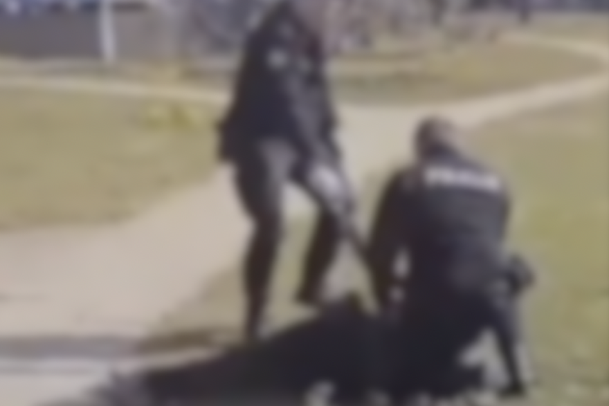 Postupanje policije