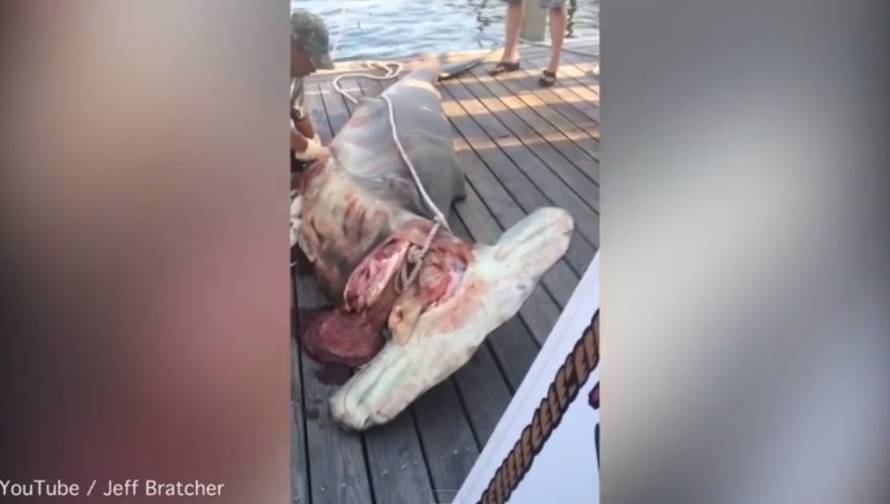 Screenshot/YouTube/Jeff Bratcher