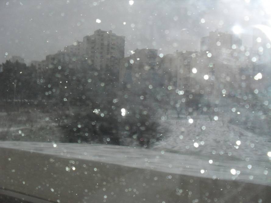  Doris Gracin Marinov  