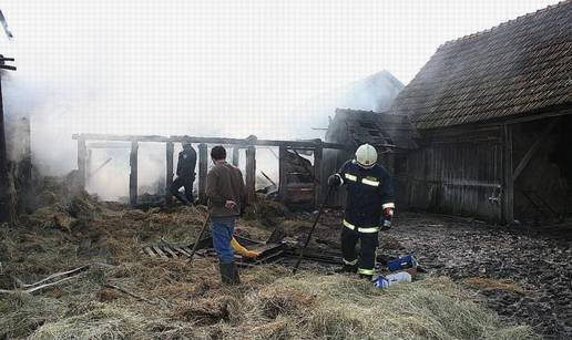 Vlasnica slučajno zapalila krmaču i šest praščića