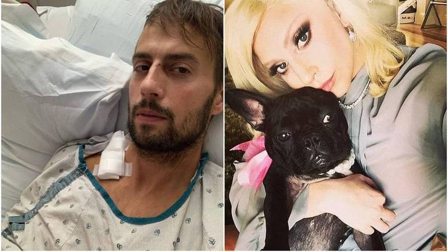 Šetaču pasa Lady Gage uklonili dio pluća nakon teške ozlijede