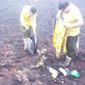 Bolivijski vatrogasci iz požara spasili mravojeda: Iznemogao im širio ruke pa pio iz šalice