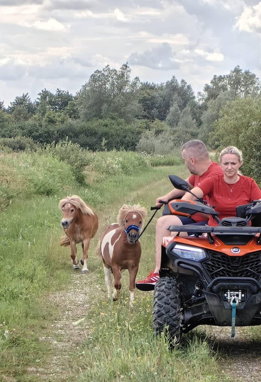Poni Popaj i ponica Oliva zbrisali od vlasnika kako bi se družili: 'Nije ih bilo cijeli dan'