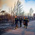 Bura rasplamsala požar na Pelješcu, vatrogasci na terenu