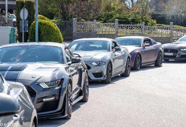 GALERIJA Kultni američki Mustanzi zablistali su u Rovinju