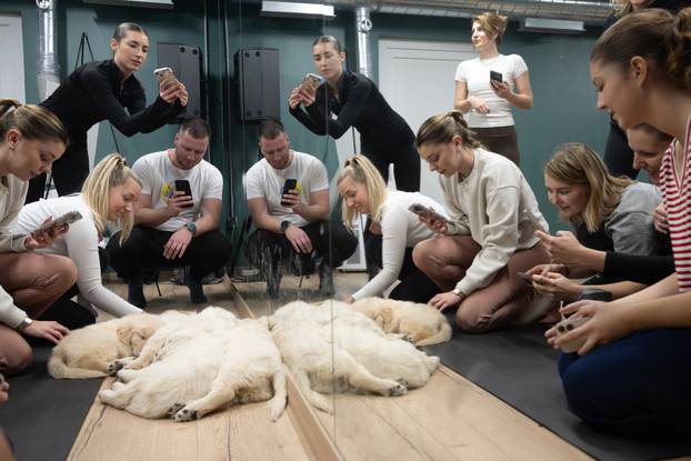 24SATA Paw Yoga, inovativni koncept joge koji je stigao u Hrvatsku