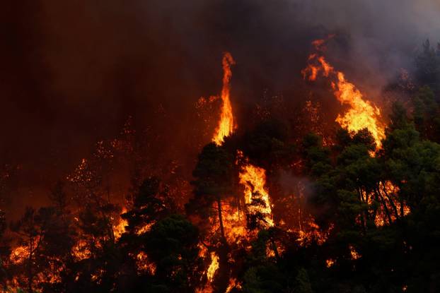 Wildfire in Krio Pigadi