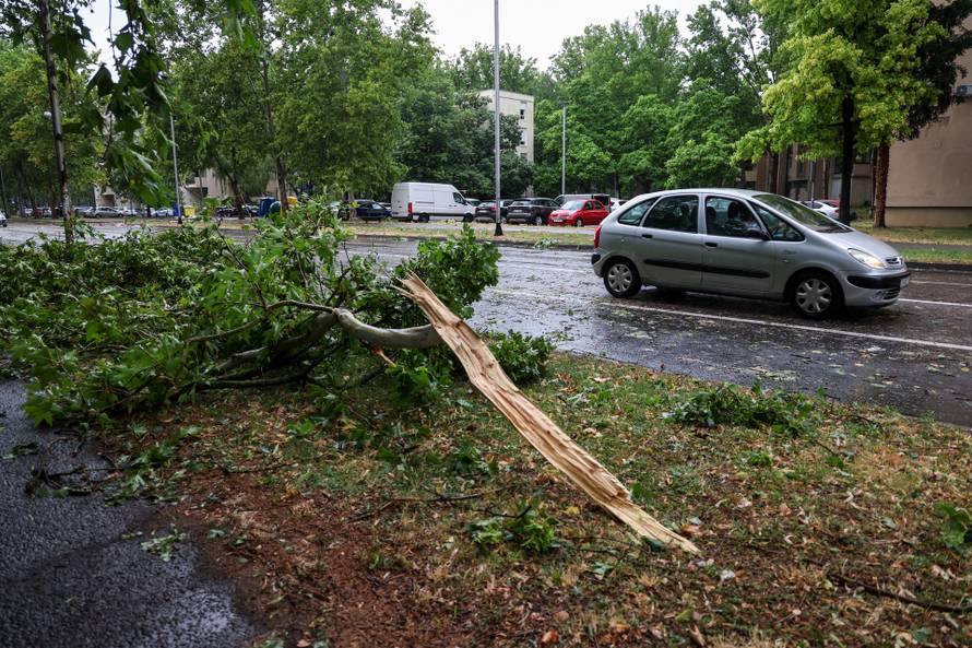 Zagreb: Vatrogasci uklanjaju stablo koje je palo u Ulici Svetog Mateja
