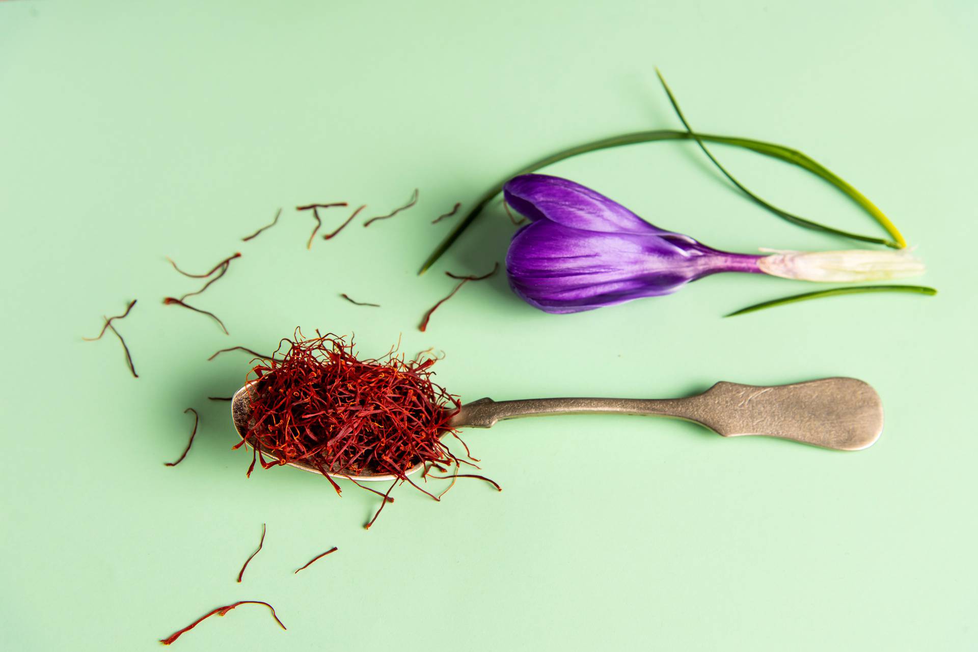 Saffron spice tea crop and flower