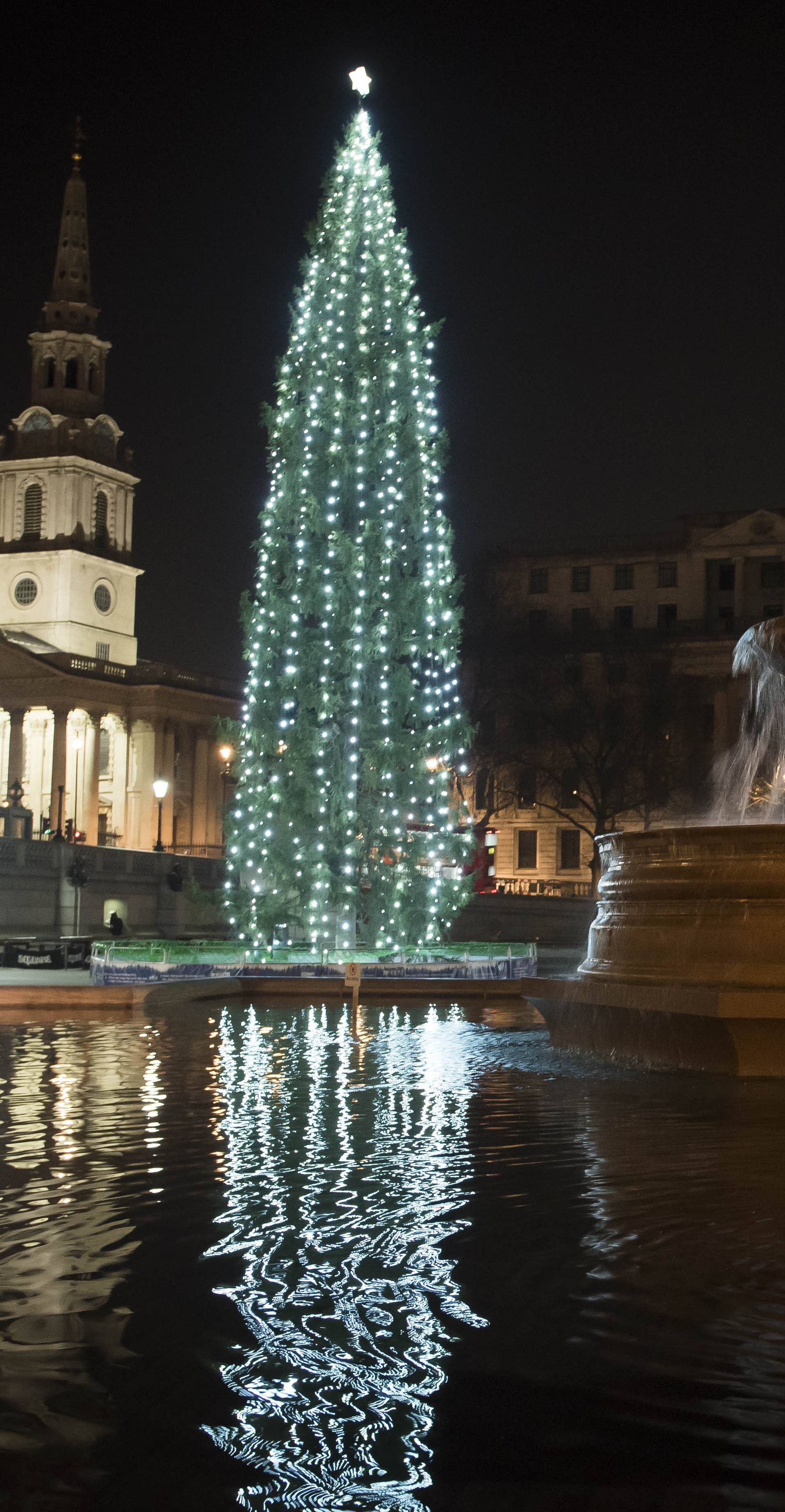 Christmas tree in Trafalgar Square