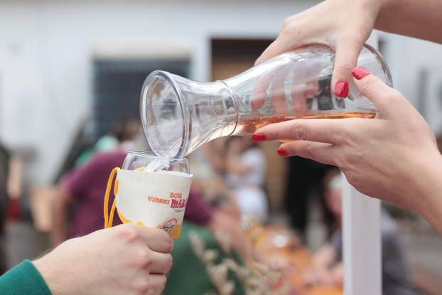 Zmajevac:  Vinski Bor maraton