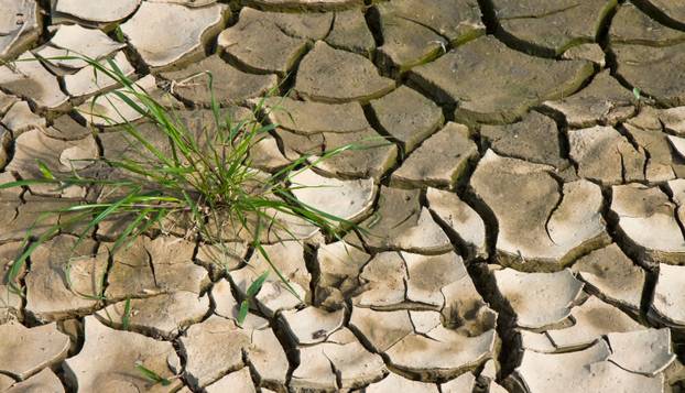 FOTO Jeziva Nostradamusova predviđanja za 2026: 'Prorok propasti' najavio katastrofe...