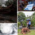 Preko 50 ozlijeđenih u naletu tajfuna Saola na Hong Kong: Iščupana stabla, poplave...