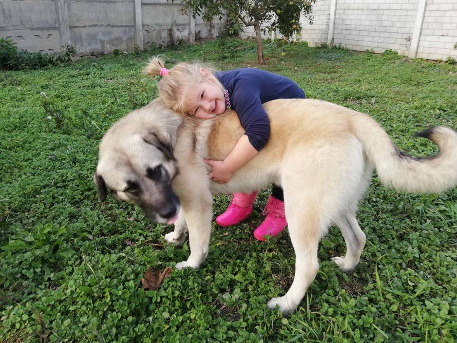 Naše najveće estradne zvijezde pjevaju za čakovečke njuškice