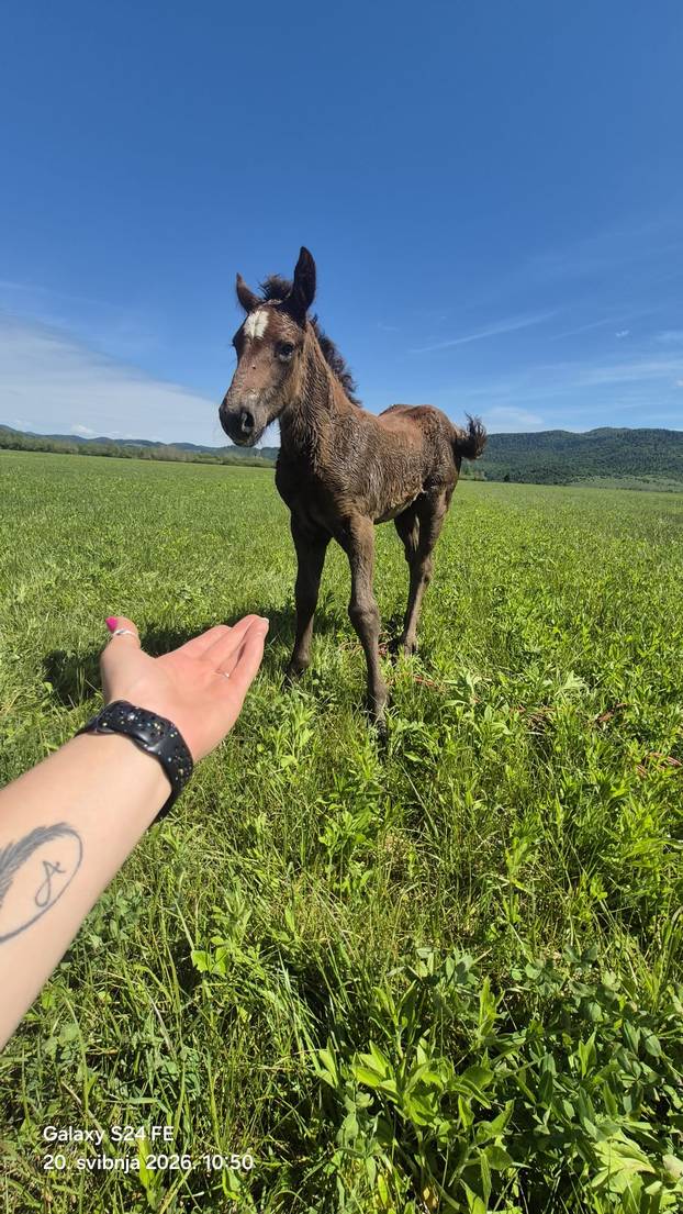 Foto Op&cacute;ina Fu&zcaron;ine