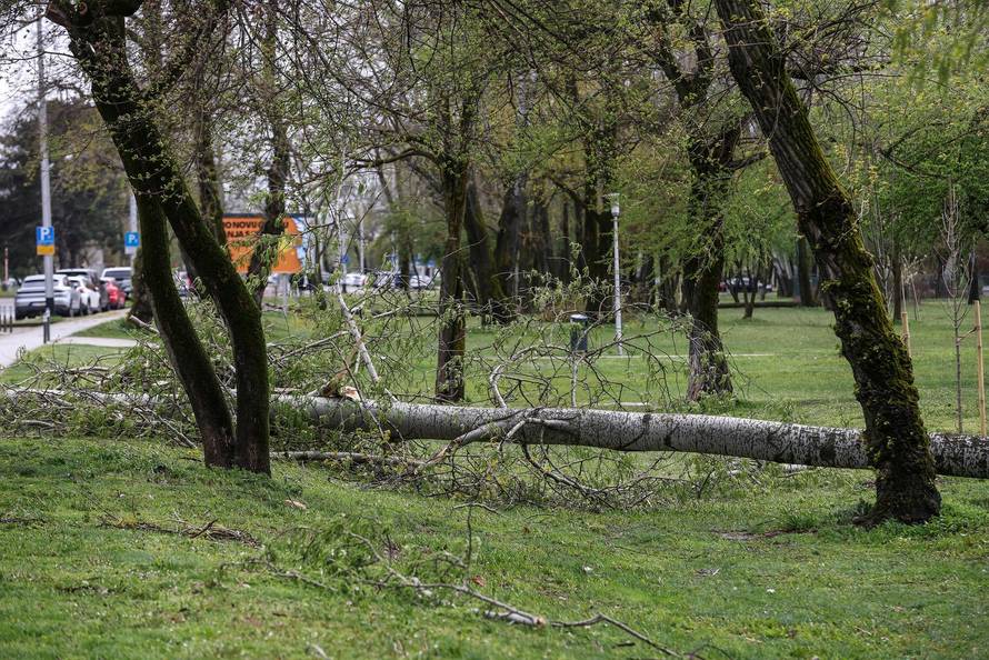 Zagreb: Olujno nevrijeme počupalo stabla na Bundeku 