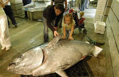 Ribari izvukli tunu od 2,70 metara i tešku 300 kg