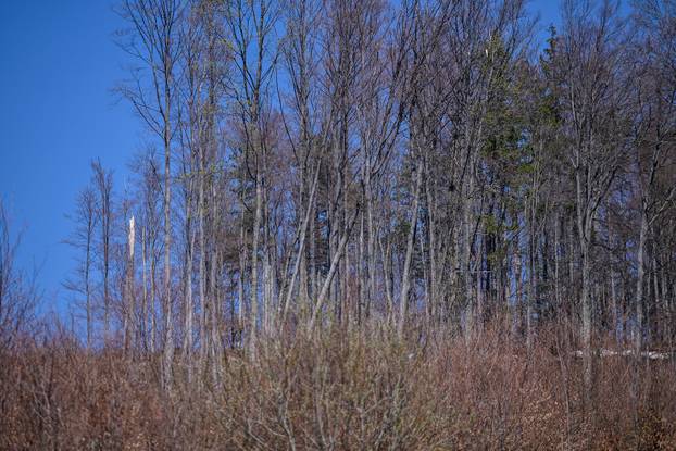 Zagreb: Posljedice olujnog nevremena na Sljemenu