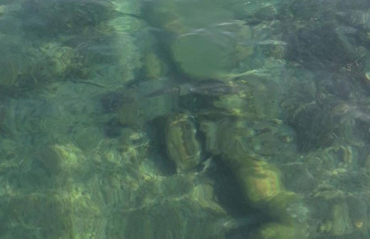 Trojica muškaraca cisternama istovarila fekalije u prirodu
