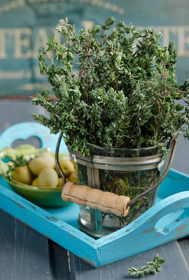 Thyme herb plant in a vase