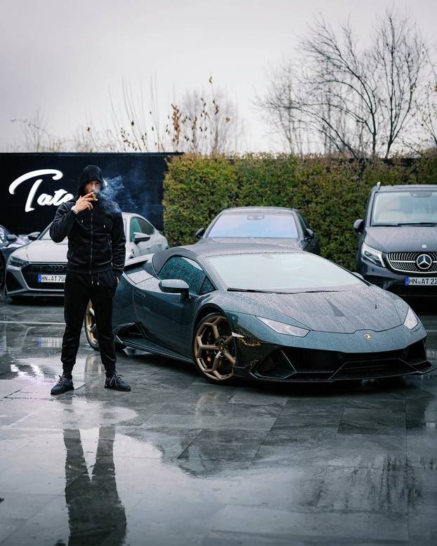 FOTO Vlasti će zaplijeniti 2,6 mil. funti braći Tate: Hvale se jurilicama, tigrovima, avionima