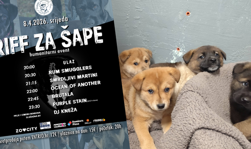 Pet bendova svirat &cacute;e na humanitarnom koncertu za pomo&cacute; napu&scaron;tenim &zcaron;ivotinjama