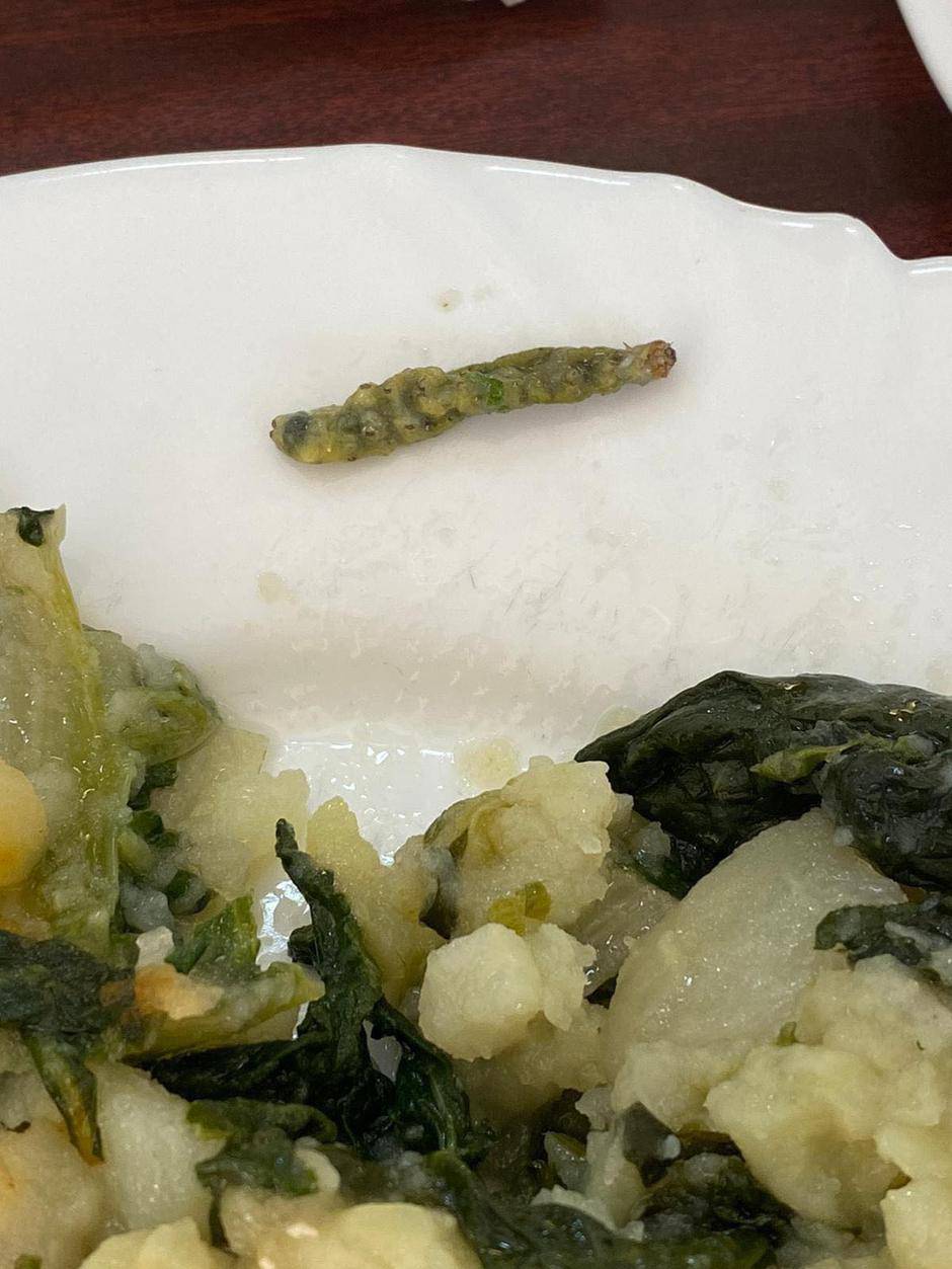 FOTO Studenti podijelili slike crva i dlaka u hrani iz menze: 'Žalimo se, ali nitko ne trza'