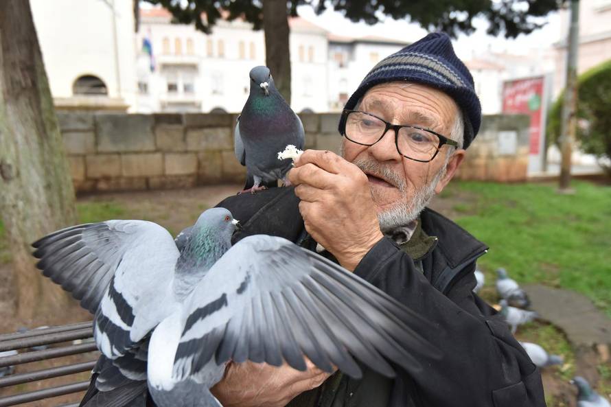 Dobri duh Pule Said Muharemi svakodnevno hrani golubove