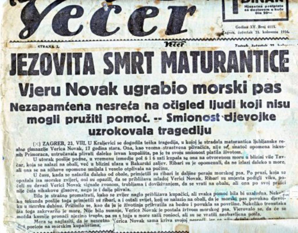 Morski psi i u Hrvatskoj ubijali ljude! Otkrivamo tko su žrtve