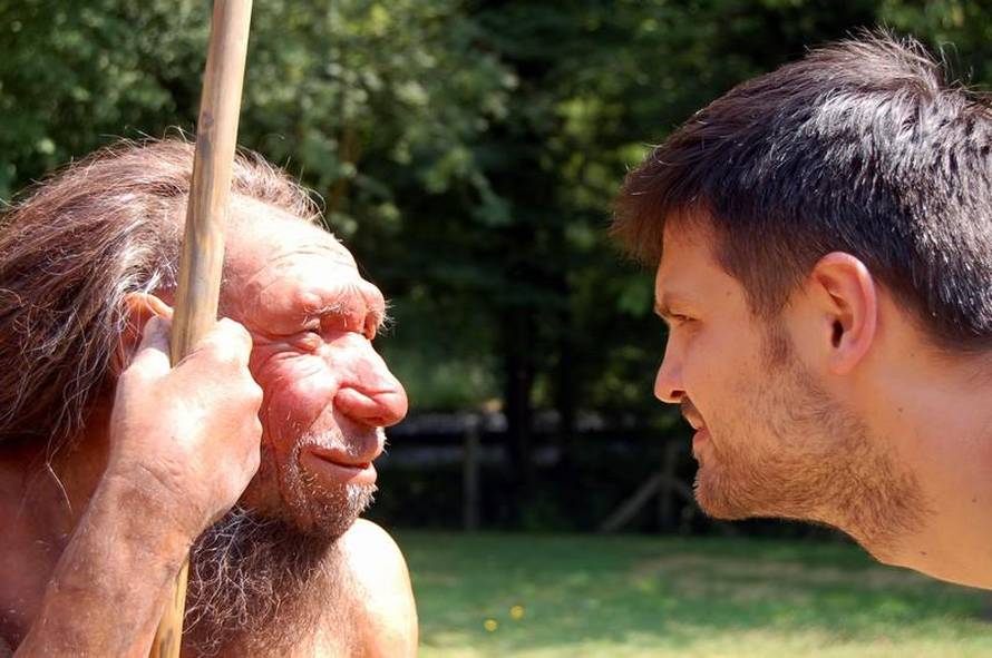 Ivica Galović/PIXSELL