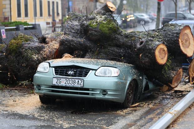 Zagreb: Nevrijeme srušilo stablo koje  je palo na automobil 