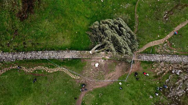 General view of the felled Sycamore Gap in Northumberland National Park