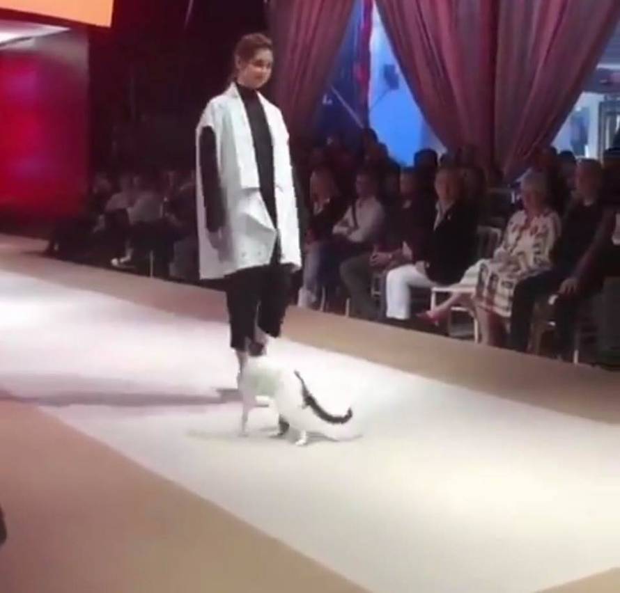 Nepozvana gošća: Maca upala na reviju, šetala i dirala modele