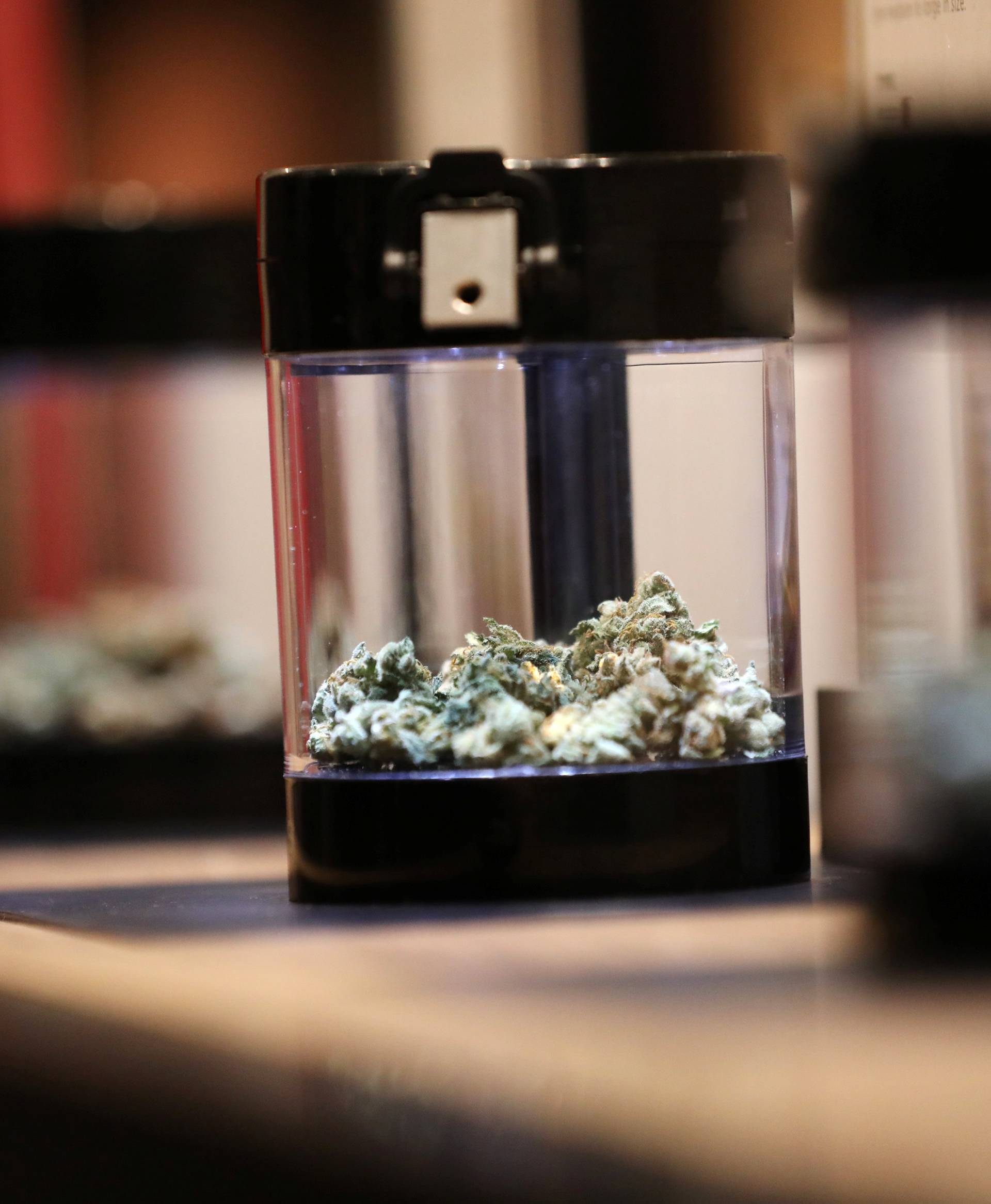 A customer looks at cannabis on display after legal recreational marijuana went on sale at a Tweed retail store in St John's